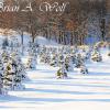 Christmas Tree Farm