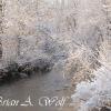 Snowfall On The Pike River