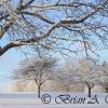 Winter On The Golf Course