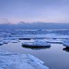 Ice Sculptures - Lake Michigan