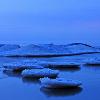 Stepping Stones - Lake Michigan