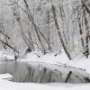 Winter Wonderland - Petrifying Springs, Kenosha, WI