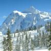 Mount Suhuskan and Pines