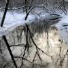 Dobbins Creek Reflections