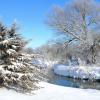 Hoar Frost - Monroe County, WI