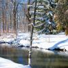 Early December Snow