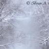 Cottonwood River During Snowstorm