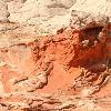 The "gargoyle" Close-Up - White Pocket Arizona