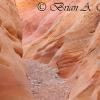 Pink Canyon II - Valley of Fire - Nevada