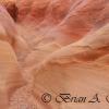 Pink Canyon VI - Valley OF Fire - Nevada