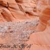 Pink Canyon VII - Valley Of Fire - Nevada