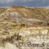 Gooseberry Badlands #5 - Worland, WY