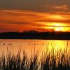 Horicon Marsh Sunset
