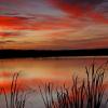 Horicon Marsh Sunrise