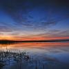 Sunrise Reflections On Horicon Marsh