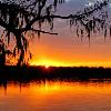 Golden Sunset - Lake Martin