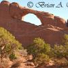 Skyline Arch