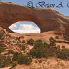 Wilson's Arch - Utah