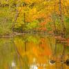 Fall at Petrifying Springs