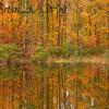 Pond Reflections - Sawyer County