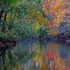 Petrifying Springs Reflections