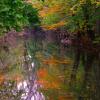 Early Fall Reflections at Petrifying Springs 