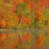 Autumn Reflections On The Wisconsin River