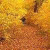 Path Through Hawthorne Hollow - Kenosha