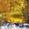 Allequash Creek - Vertical