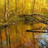 Allequash Creek - Vilas County