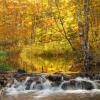 Allequash Creek Flowing Into Trout Lake