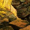 Parfrey's Glen