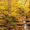 Waterfall at Parfrey's Glen