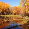 Langlade County Pond