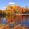 Colorful Pond in Langlade County