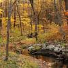 Creek at Parfrey's Glen