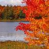 Shoreline of Loon Lake - Copper Falls State Park