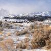 Mammoth Hot Springs View