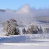 Fog Over The Gibbon River