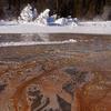 Ghost Trees and Geyser Run-Off