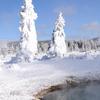 Ghost Trees and Hot Pool