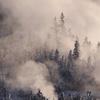 Norris Geyser Basin