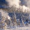 Norris Geyser Basin II