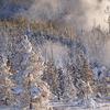 Norris Geyser Basin III