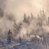 Norris Geyser Basin IV