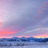 Lamar Valley Sunrise