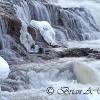 Cold Waterfall