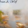 Norris Geyser Basin