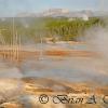 Norris Geyser Basin