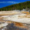 Aurura Geyser and Run-Off